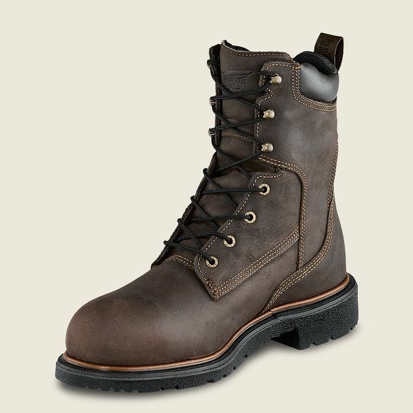 Men's Red Wing DynaForce 8-inch Insulated, Waterproof Safety Toe Boots Brown | IL256EDAB