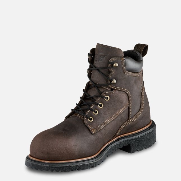 Men's Red Wing Dynaforce® 6-inch Insulated, Waterproof Work Boots Brown | IL198IXRW