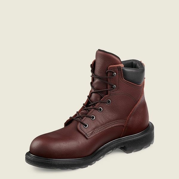 Men's Red Wing SuperSole 2.0 6-inch Safety Toe Boot Work Boots Brown | IL416VNCE