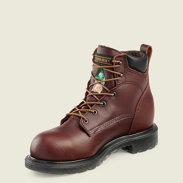 Men's Red Wing SuperSole 2.0 6-inch Waterproof CSA Safety Toe Boot Work Boots Brown | IL368JUSN