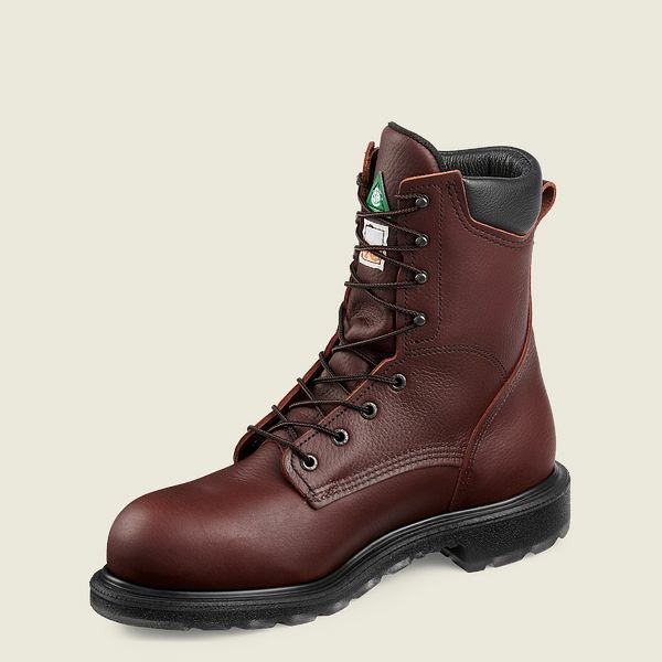 Men's Red Wing SuperSole 2.0 8-inch CSA Safety Toe Boot Work Boots Brown | IL137IEDT