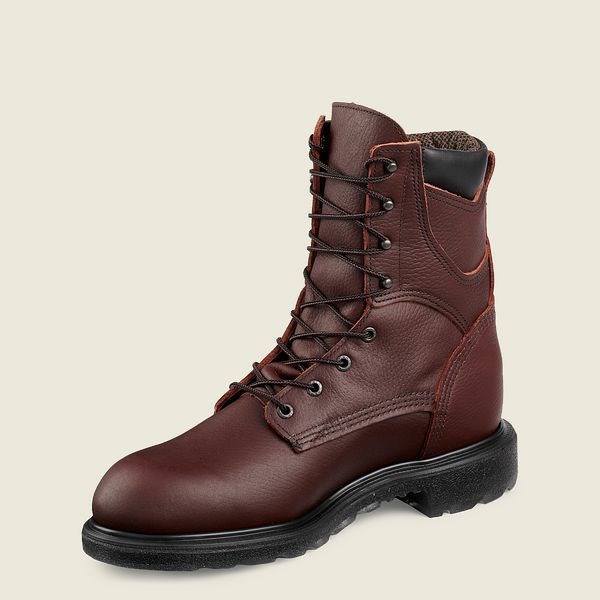 Men's Red Wing SuperSole 2.0 8-inch Insulated, Waterproof Soft Toe Boot Work Boots Brown | IL756CLBV