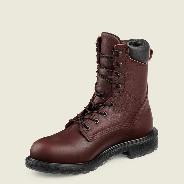 Men's Red Wing SuperSole 2.0 8-inch Safety Toe Boots Brown | IL479HUWO