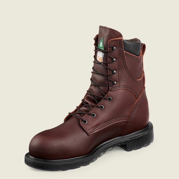 Men's Red Wing SuperSole 2.0 8-inch Waterproof CSA Safety Toe Boot Work Boots Brown | IL901ETHI