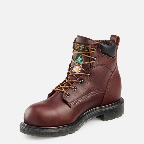 Men's Red Wing Supersole® 2.0 6-inch CSA Waterproof Shoes Brown | IL109ZSYX