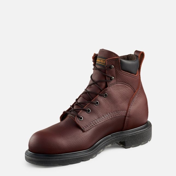 Men's Red Wing Supersole® 2.0 6-inch Waterproof Work Boots Brown | IL173NGEF