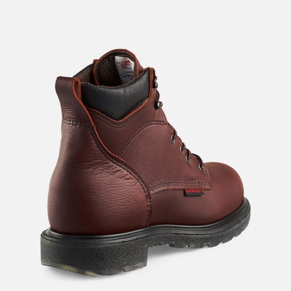 Men's Red Wing Supersole® 2.0 6-inch Waterproof Shoes Brown | IL308EIHS