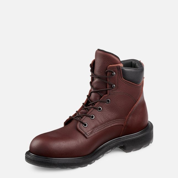 Men's Red Wing Supersole® 2.0 6-inch Work Boots Brown | IL239NMPT