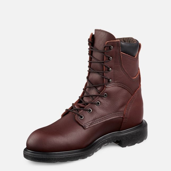 Men's Red Wing Supersole® 2.0 8-inch Insulated, Waterproof Work Boots Brown | IL297GZST