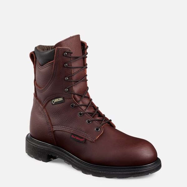 Men\'s Red Wing Supersole® 2.0 8-inch Insulated, Waterproof Work Boots Brown | IL297GZST