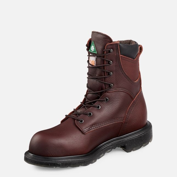 Men's Red Wing Supersole® 2.0 8-inch Insulated, Waterproof CSA Work Boots Brown | IL459WICP