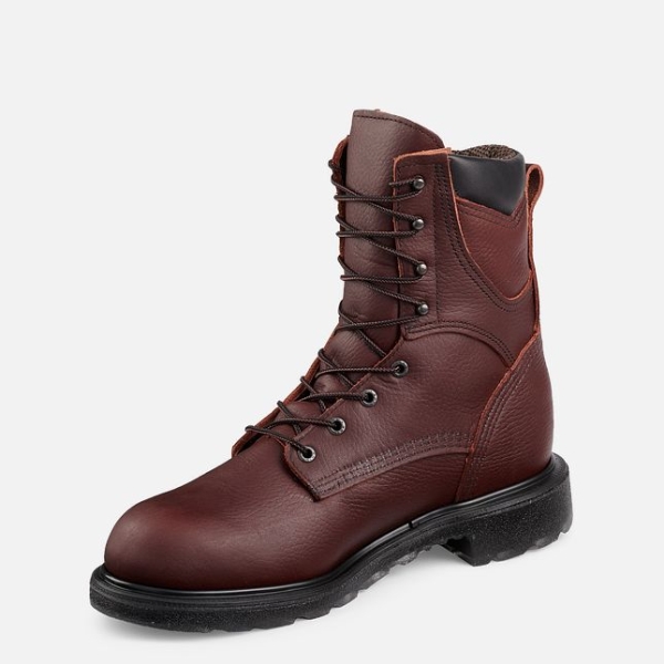 Men's Red Wing Supersole® 2.0 8-inch Waterproof Work Boots Brown | IL964FIMK