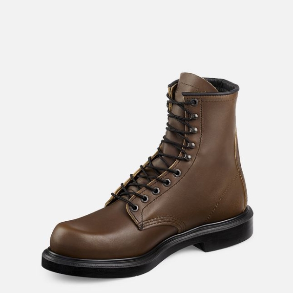 Men's Red Wing Supersole® 8-inch Work Boots Brown | IL267OLMP