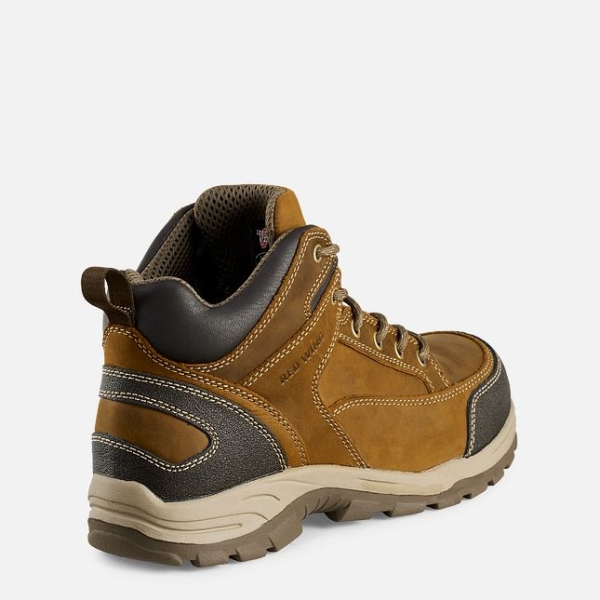 Men's Red Wing Truhiker 5-inch Hiker Safety Shoes Brown | IL187RXHS