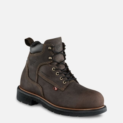 Men's Red Wing Dynaforce® 6-inch Insulated, Waterproof Work Boots Brown | IL349MOYH