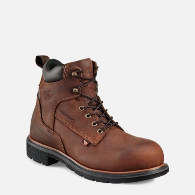 Men's Red Wing Dynaforce® 6-inch Waterproof Shoes Brown | IL027MLCO